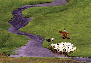 Nomaden der Mongolei, www.mongoliaphotogallery.com von Erdenebayar Erdensuren