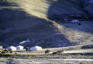 Natur von Mongolei, www.mongoliaphotogallery.com von Erdenebayar Erdensuren