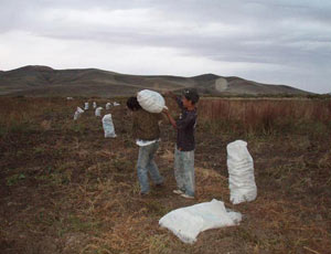 Ein Familien- und Schulprojekt in der Mongolei