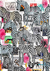 Wunderkammer Zebras: 24 pictures with about 430 stamps by OtGO 2023-2024, consists of 24 equal-sized single paintings, acryl on original Stamps, each measuring 210 by 148 mm (A5)