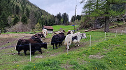 The Charitable Foundation Stiftung Kunstdepot, Göschenen, Switzerland