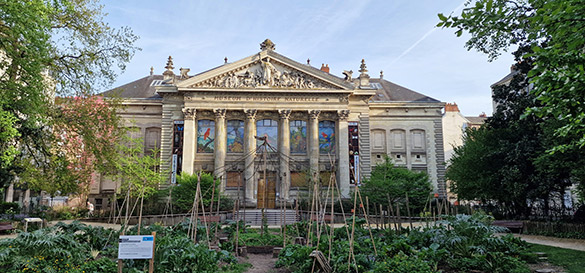 OtGO exposé au Muséum d’Histoire Naturelle Nantes